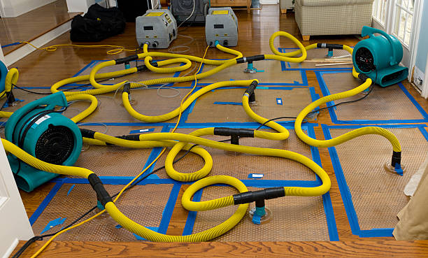 Professional Water Damage Restoration technician working in McClave, CO